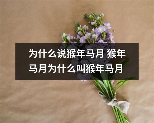 为什么说猴年马月 猴年马月为什么叫猴年马月