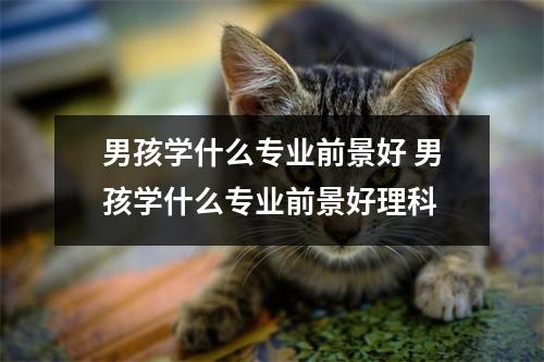 男孩学什么专业前景好 男孩学什么专业前景好理科