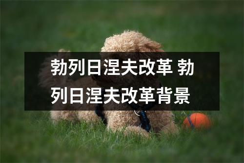 勃列日涅夫改革 勃列日涅夫改革背景