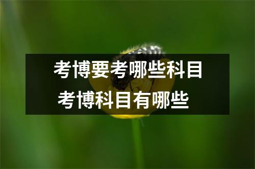 考博要考哪些科目 考博科目有哪些