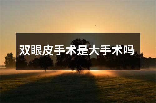 双眼皮手术是大手术吗