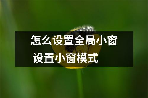 怎么设置全局小窗 设置小窗模式