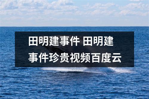 田明建事件 田明建事件珍贵视频百度云