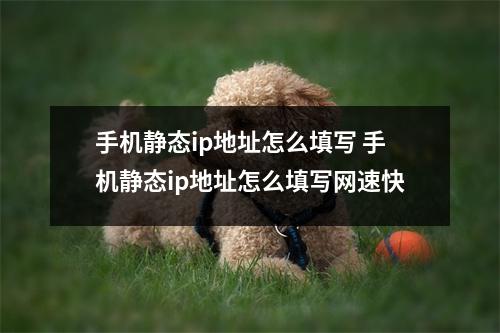 手机静态ip地址怎么填写 手机静态ip地址怎么填写网速快
