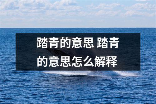 踏青的意思 踏青的意思怎么解释