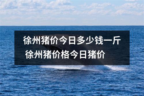 徐州猪价今日多少钱一斤 徐州猪价格今日猪价