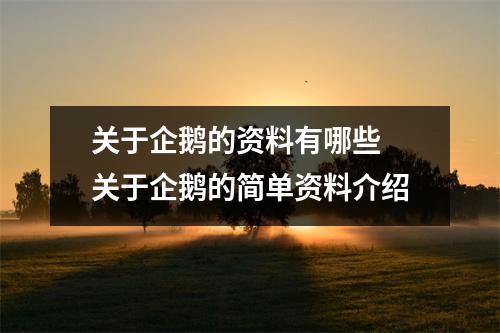 关于企鹅的资料有哪些 关于企鹅的简单资料介绍