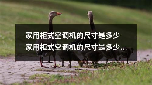 家用柜式空调机的尺寸是多少  家用柜式空调机的尺寸是多少合适