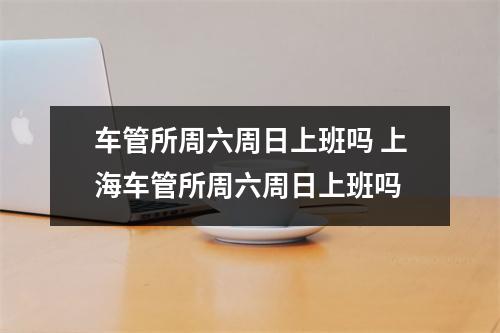 车管所周六周日上班吗 上海车管所周六周日上班吗