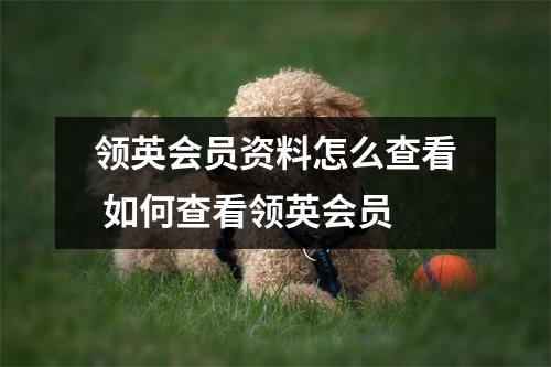 领英会员资料怎么查看 如何查看领英会员
