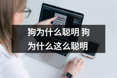 狗为什么聪明 狗为什么这么聪明