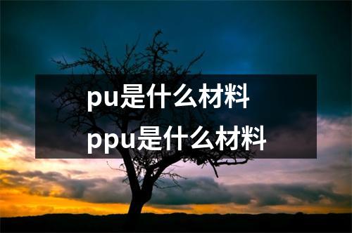 pu是什么材料 ppu是什么材料