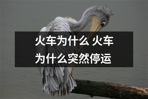 火车为什么 火车为什么突然停运