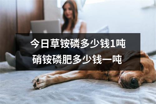 今日草铵磷多少钱1吨 硝铵磷肥多少钱一吨