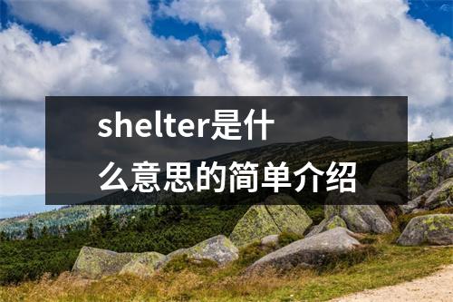 shelter是什么意思的简单介绍