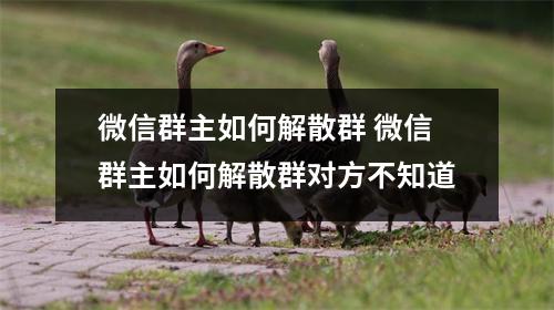 微信群主如何解散群 微信群主如何解散群对方不知道