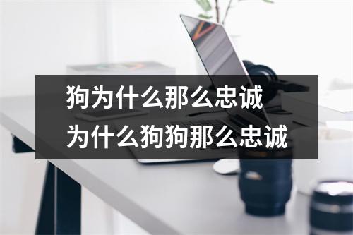 狗为什么那么忠诚 为什么狗狗那么忠诚 狗为什么那么忠诚 为什么狗狗那么忠诚