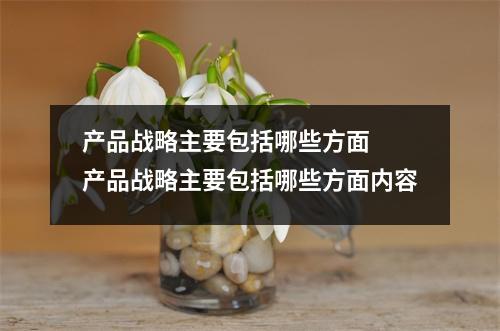 产品战略主要包括哪些方面  产品战略主要包括哪些方面内容
