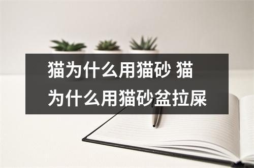猫为什么用猫砂 猫为什么用猫砂盆拉屎
