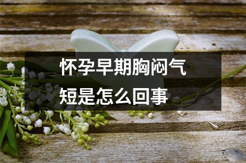 怀孕早期胸闷气短是怎么回事