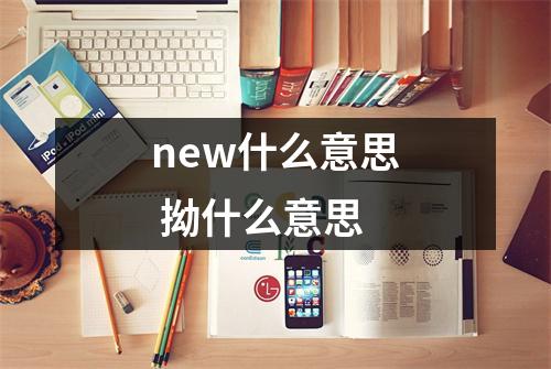 new什么意思 拗什么意思