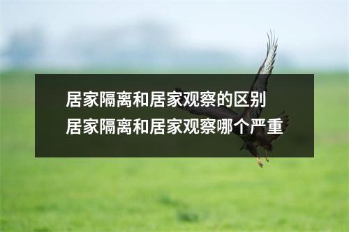 居家隔离和居家观察的区别 居家隔离和居家观察哪个严重