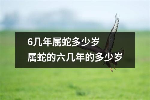 6几年属蛇多少岁  属蛇的六几年的多少岁