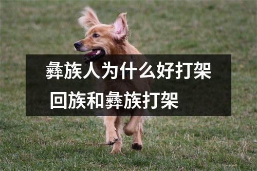 彝族人为什么好打架 回族和彝族打架