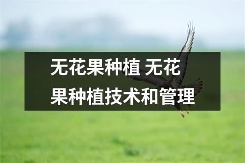 无花果种植 无花果种植技术和管理 无花果种植 无花果种植技术和管理