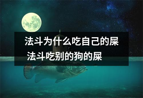 法斗为什么吃自己的屎 法斗吃别的狗的屎