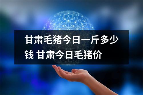 甘肃毛猪今日一斤多少钱 甘肃今日毛猪价 甘肃毛猪今日一斤多少钱 甘肃今日毛猪价