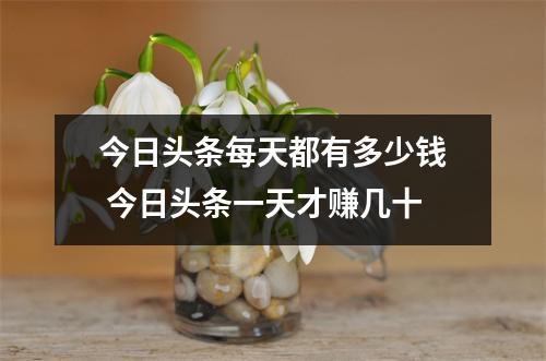 今日头条每天都有多少钱 今日头条一天才赚几十