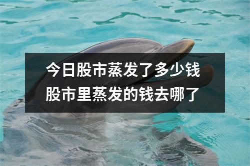 今日股市蒸发了多少钱 股市里蒸发的钱去哪了