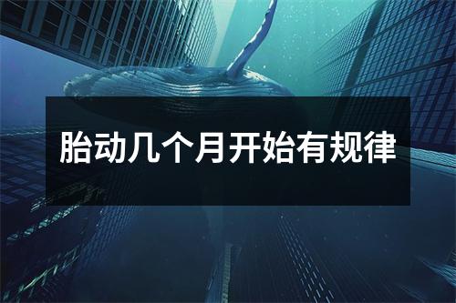 胎动几个月开始有规律