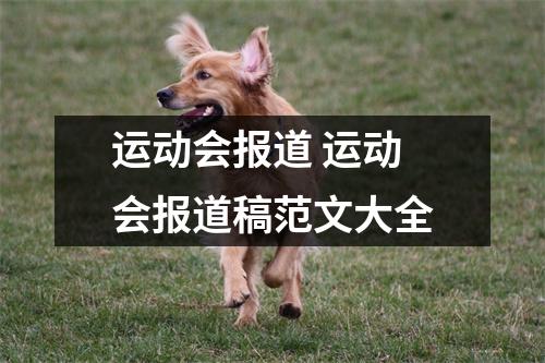 运动会报道 运动会报道稿范文大全