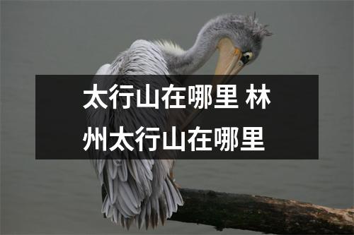 太行山在哪里 林州太行山在哪里