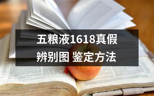 五粮液1618真假辨别图 鉴定方法