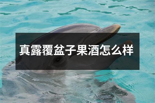 真露覆盆子果酒怎么样