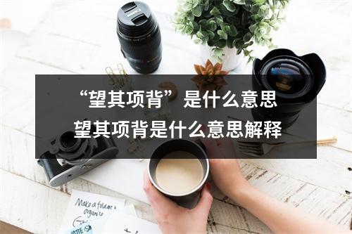 “望其项背”是什么意思  望其项背是什么意思解释