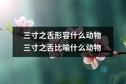 三寸之舌形容什么动物 三寸之舌比喻什么动物