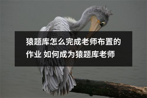 猿题库怎么完成老师布置的作业 如何成为猿题库老师