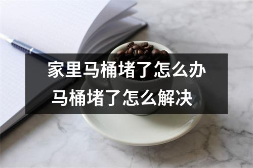 家里马桶堵了怎么办 马桶堵了怎么解决