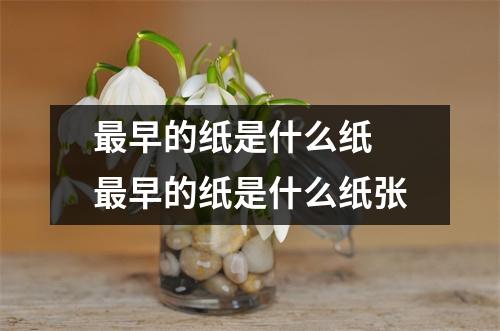 最早的纸是什么纸 最早的纸是什么纸张
