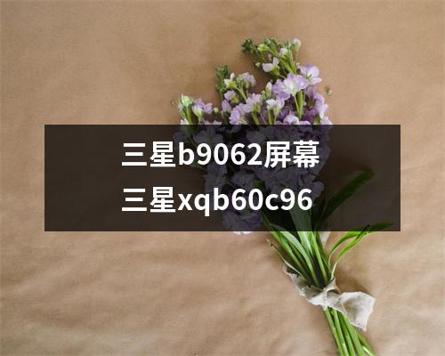 三星b9062屏幕 三星xqb60c96