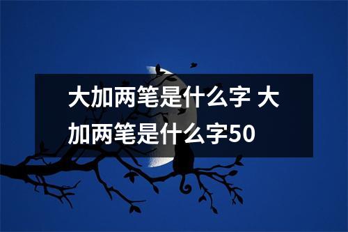 大加两笔是什么字 大加两笔是什么字50