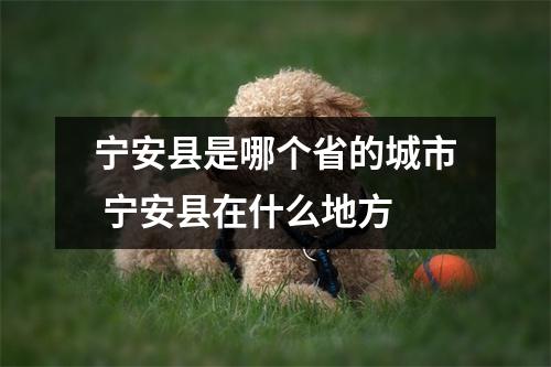 宁安县是哪个省的城市 宁安县在什么地方