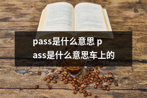 pass是什么意思 pass是什么意思车上的