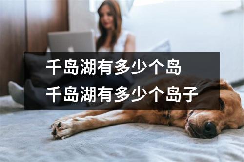 千岛湖有多少个岛 千岛湖有多少个岛子