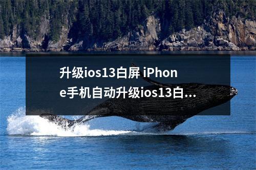 升级ios13白屏 iPhone手机自动升级ios13白屏
