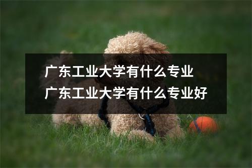 广东工业大学有什么专业 广东工业大学有什么专业好